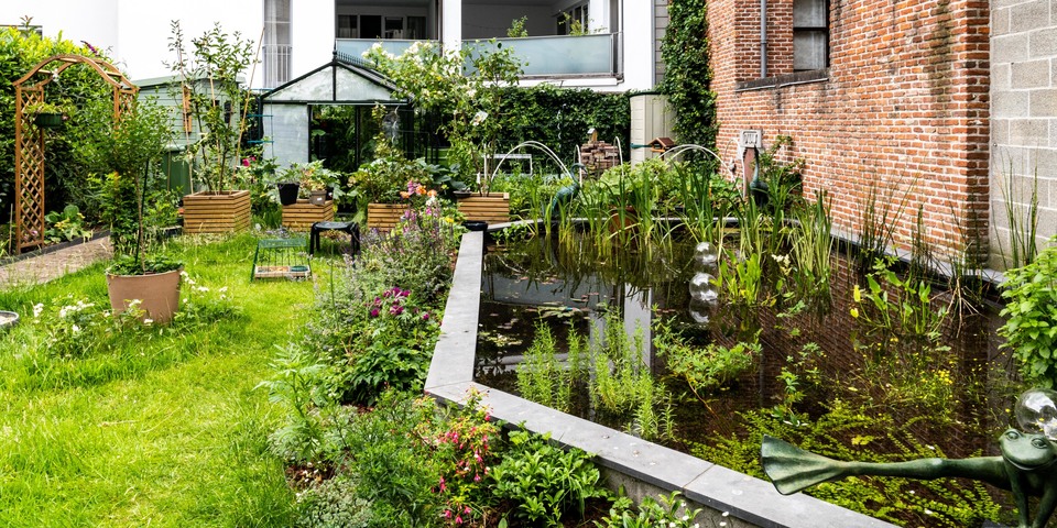 Zicht op een vijver in een stadstuin