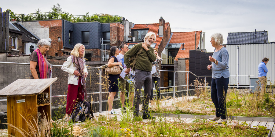 Mensen bezoeken het natuurdak van beweging.net Mensen bezoeken het natuurdak van beweging.net