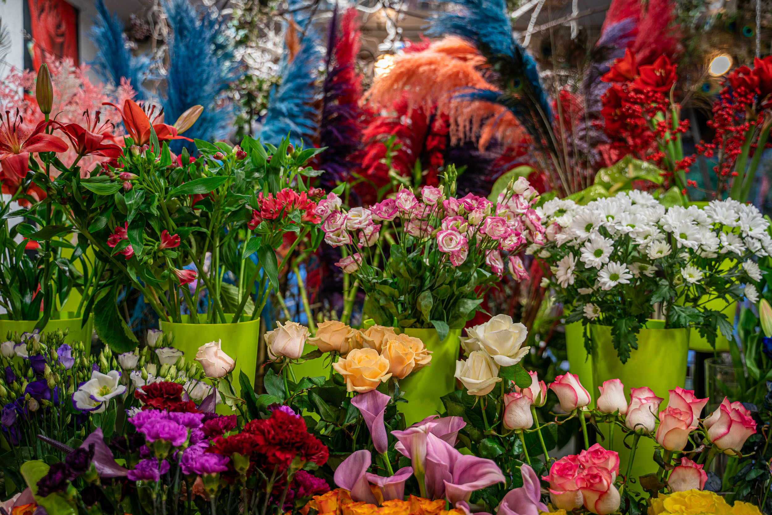 Verse bloemen Verse bloemen