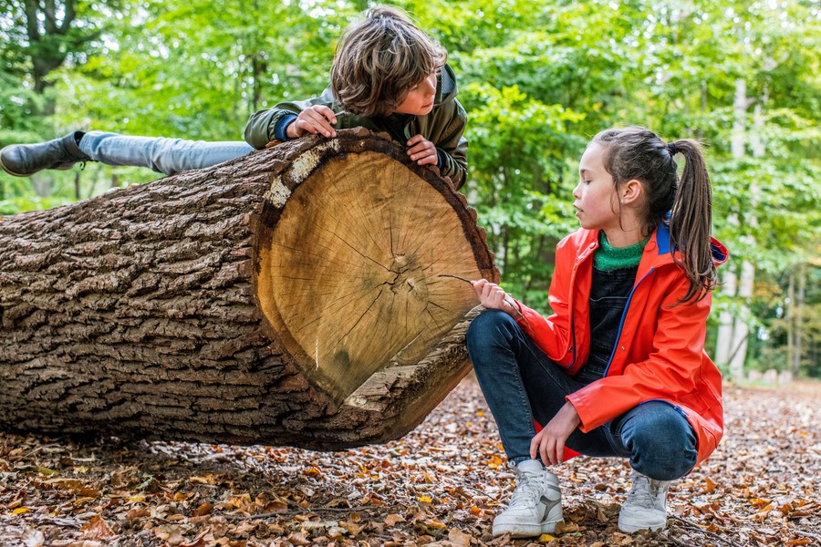 Gloria en Pablo testen een opdracht uit Natuuravontuur Gloria en Pablo testen een opdracht uit Natuuravontuur