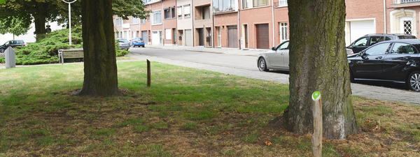 Toekomstbomen - Label aan de boom Toekomstbomen - Label aan de boom