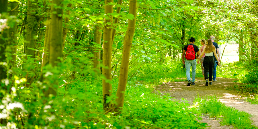 Wandelaars in een groene omgeving