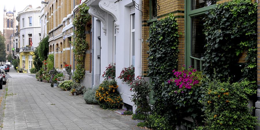 een geveltuin in de stad een geveltuin in de stad