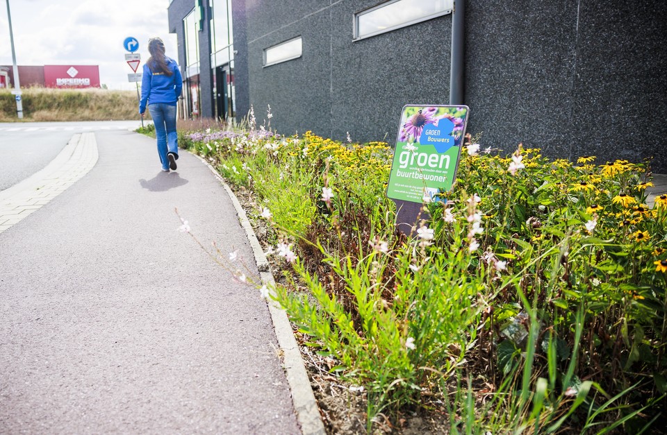 Wandelaar die voorbij een aangelegde grasstrook van de Groenbouwers stapt.