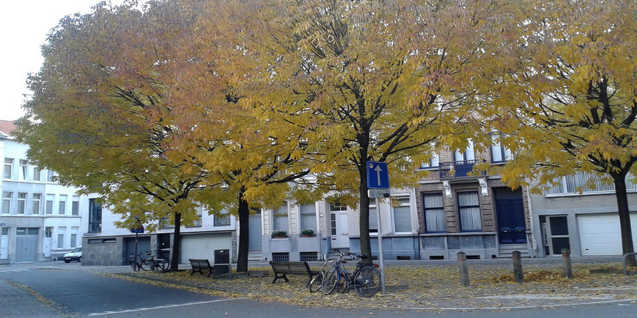 Toekomstbomen Toekomstbomen