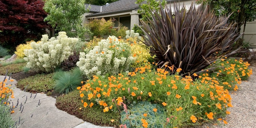 Veel bloemen en planten in de voortuin