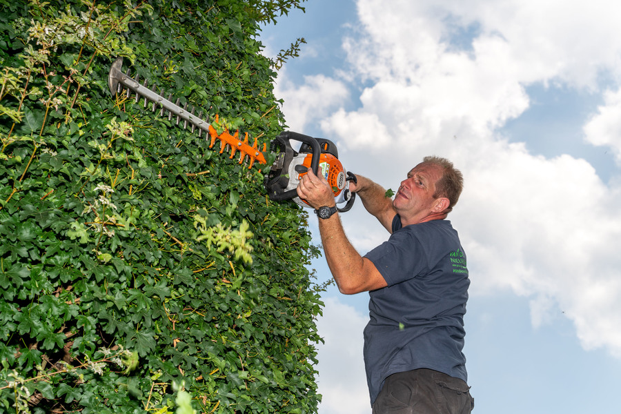 Stefan snoeit een grote boom op een oprit