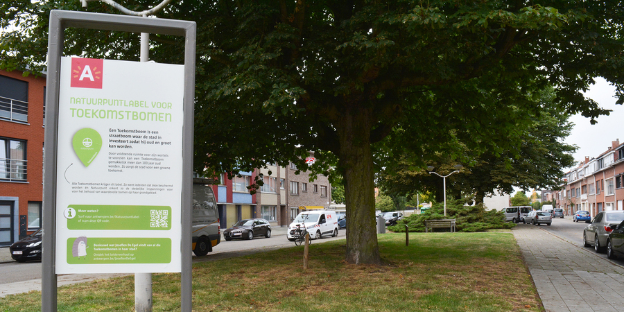 Een grasveld met enkele bomen. op de voorgrond een infobord met daarop 'NATUURPUNTLABEL VOOR TOEKOMSTBOMEN'. Een grasveld met enkele bomen. op de voorgrond een infobord met daarop 'NATUURPUNTLABEL VOOR TOEKOMSTBOMEN'.