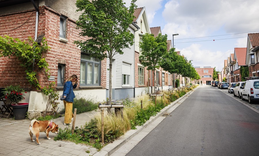 Foto van een straat in Wilrijk met bomen en plantvakken. Foto van een straat in Wilrijk met bomen en plantvakken.
