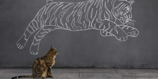 poes droomt ervan tijger te worden