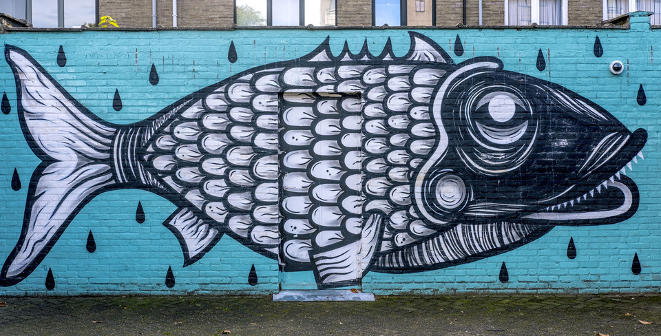 Graffitiwerk van een vis op de gevel van een garagemuur
