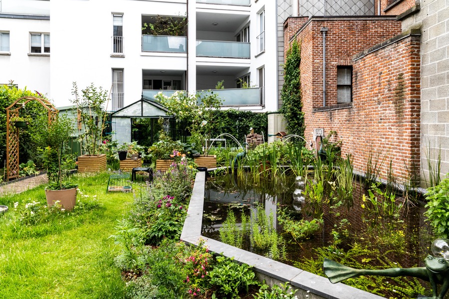 Een vijver met waterplanten in een stadstuin. Een vijver met waterplanten in een stadstuin.