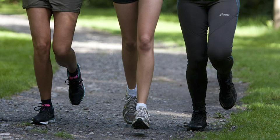 Lopers in Hof De Bist