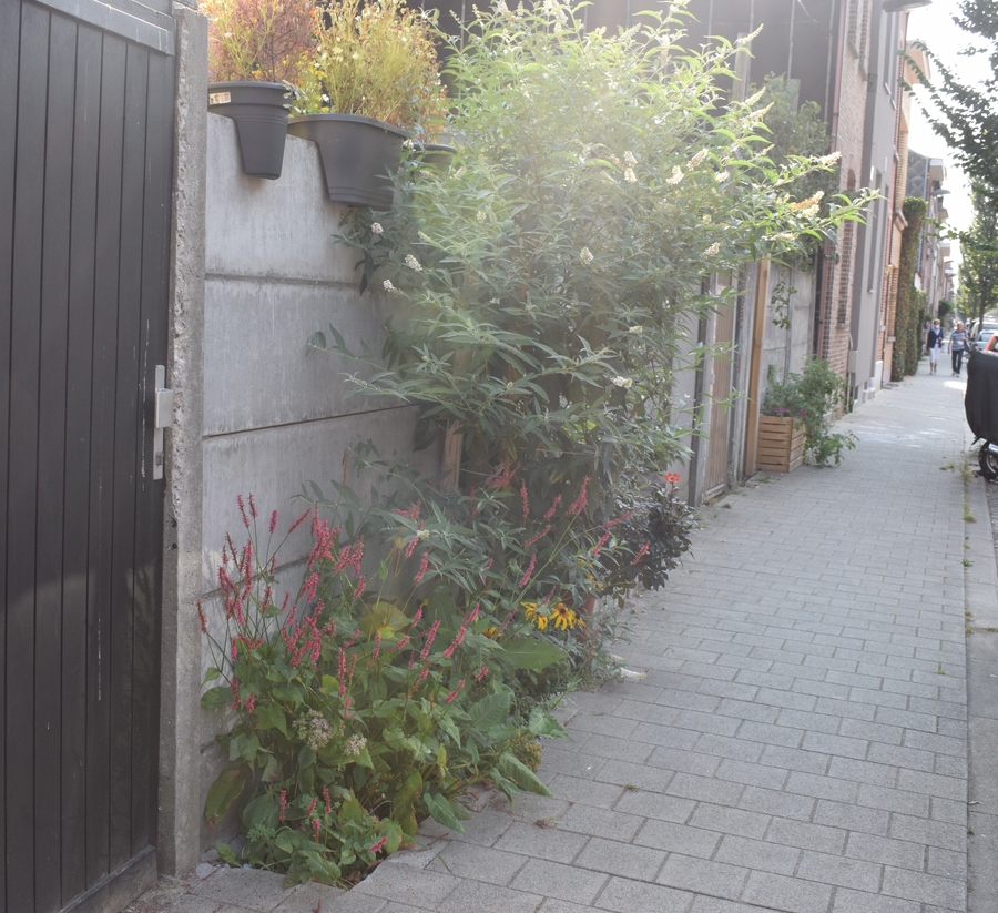 Geveltuin