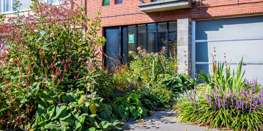 Een beeld van de weelderige voortuin Een beeld van de weelderige voortuin