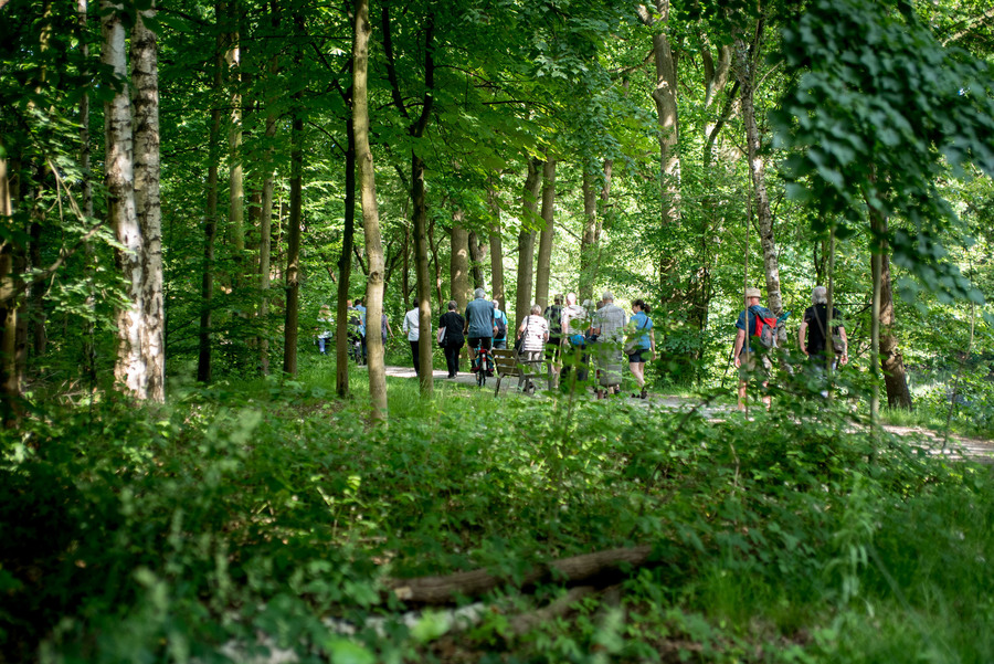Wandel door het Antwerps groen en ontdek het Groenplan
