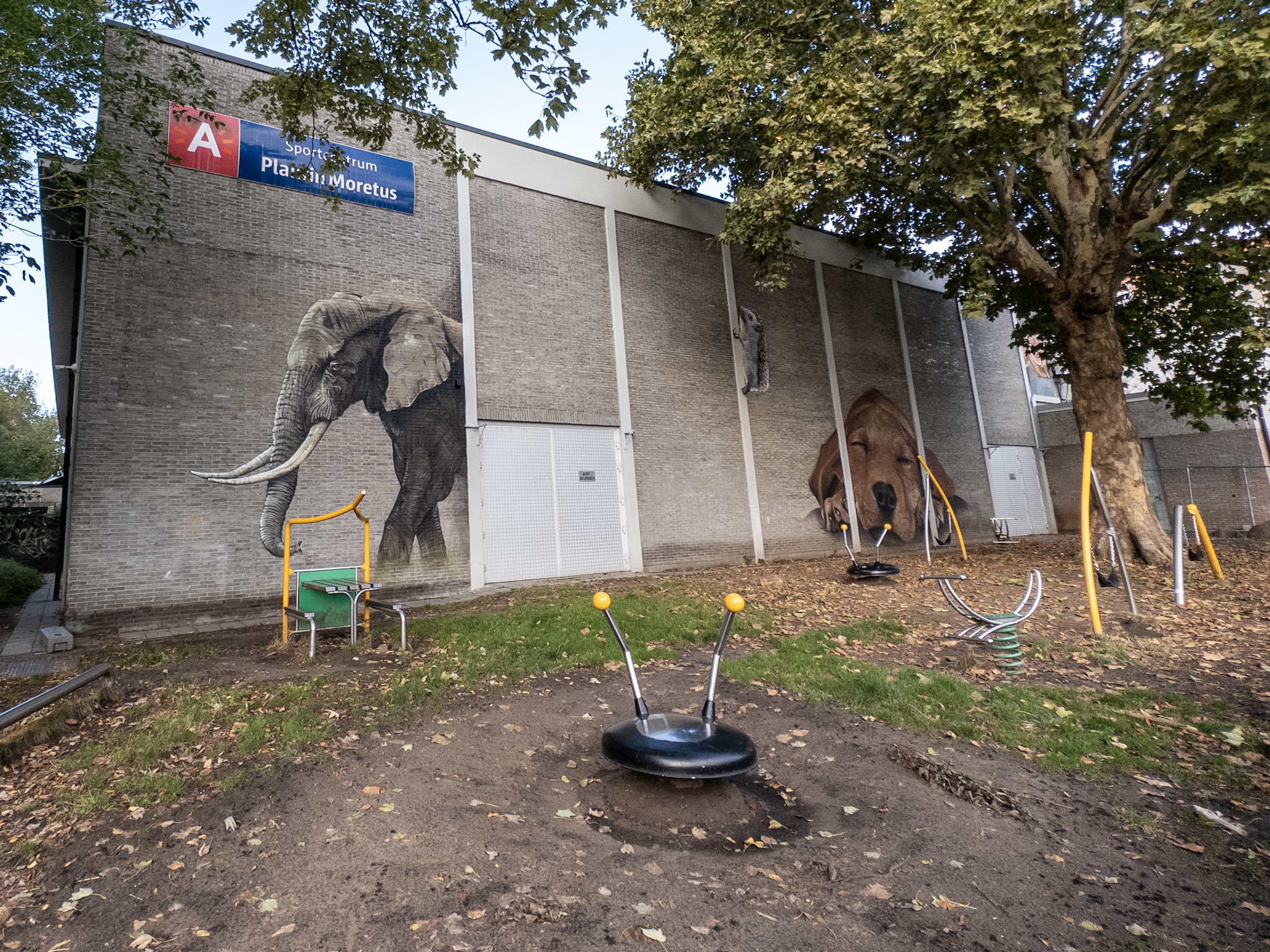 SMOK - Sporthal Luitenant Naeyaertplein