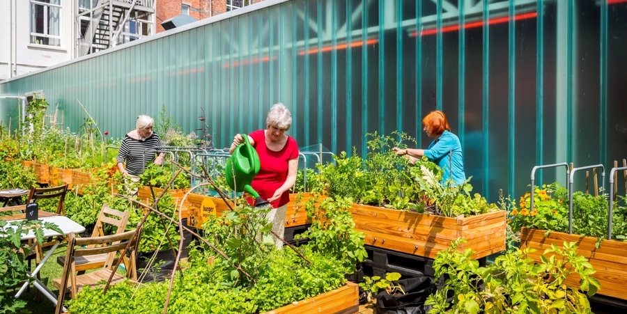Bewoners tuinieren samen in de 24 moestuinbakken van Samentuin Kavka