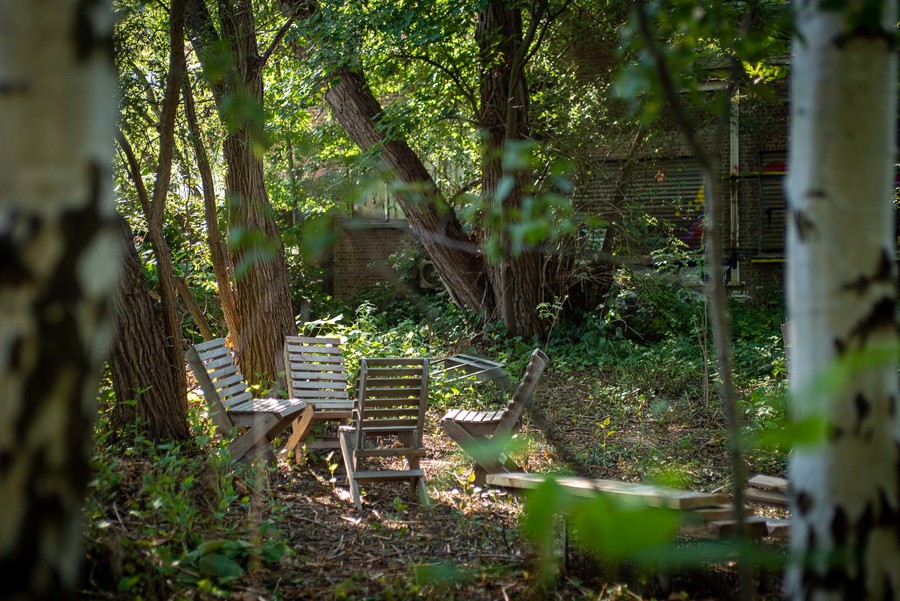 Vier stoelen in het groen
