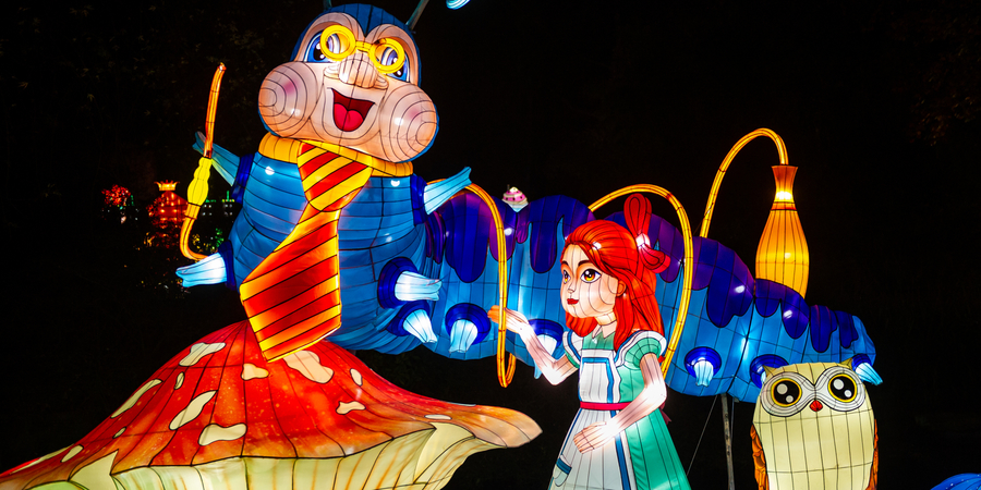 Lichtsculpturen van Alice, de rups en een uil Lichtsculpturen van Alice, de rups en een uil