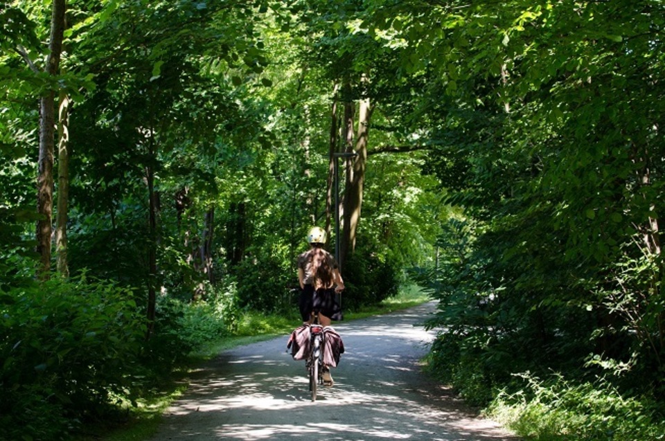 Een fietser rijdt over een breed pad omringd door bomen en struiken.