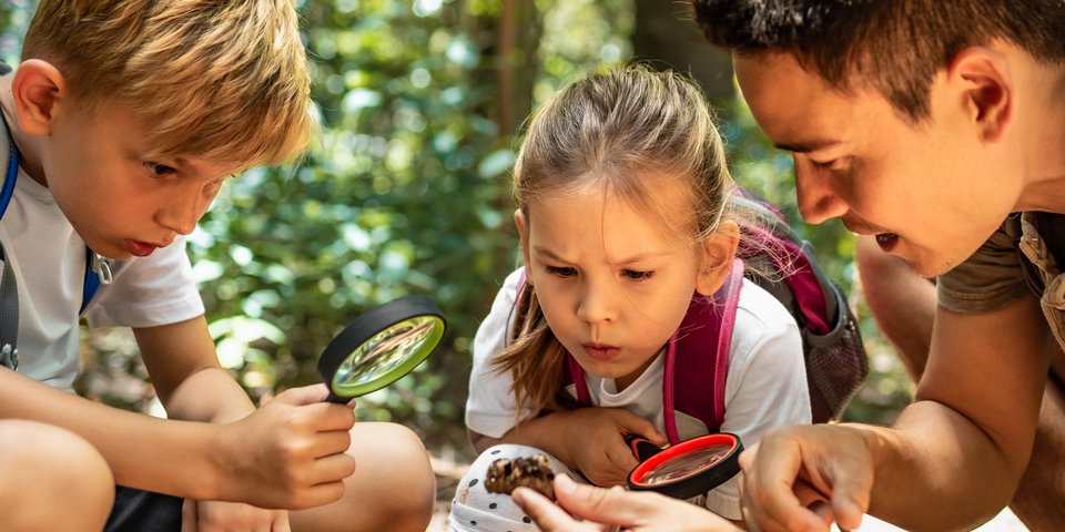 Begeleider die uitleg geeft over een kikker