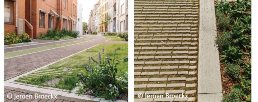 November 2022 - referentiebeeld grasbetontegels