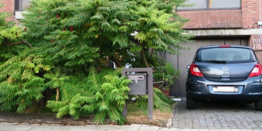 voortuin met oprit en toch veel groen voortuin met oprit en toch veel groen