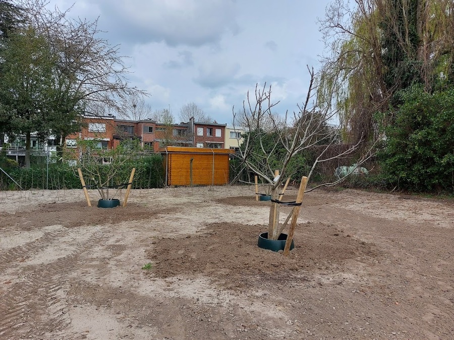 Straattuin: bomen achteraan