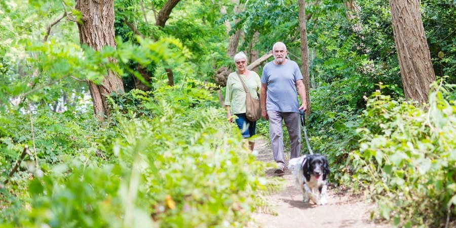 Twee wandelaars en een hond in de Tarzanboskes Twee wandelaars en een hond in de Tarzanboskes