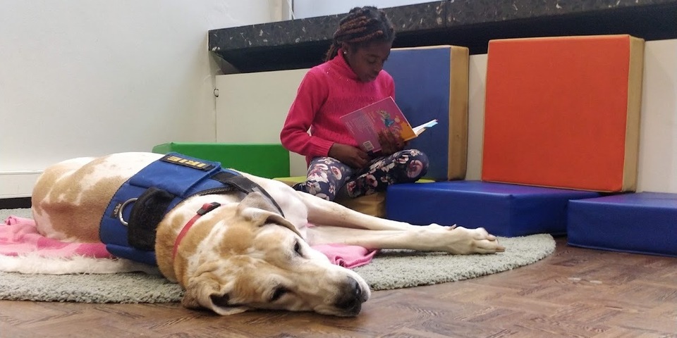 Een meisje leest voor aan een hond in Bib Vrede.