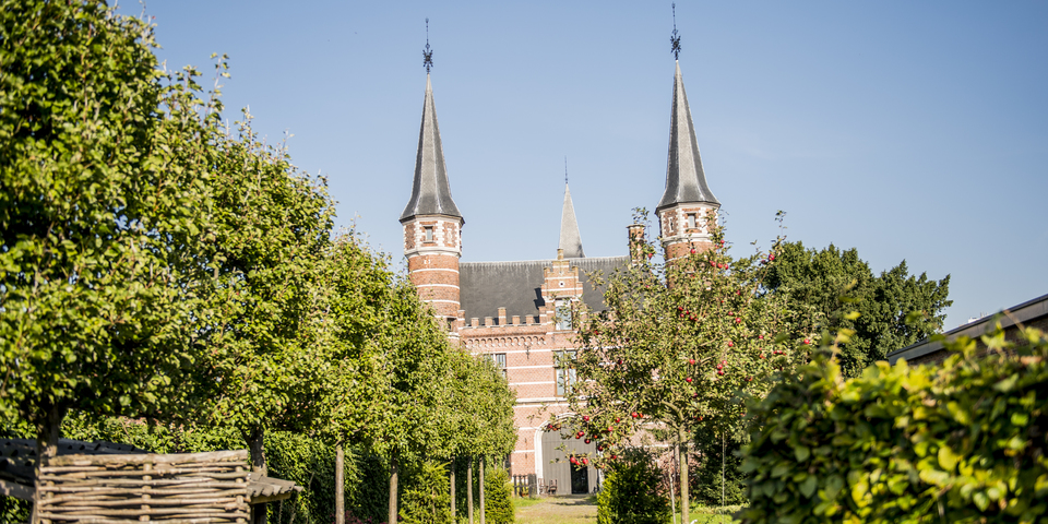 Het groen rondom de Drie Torekens in Deurne.