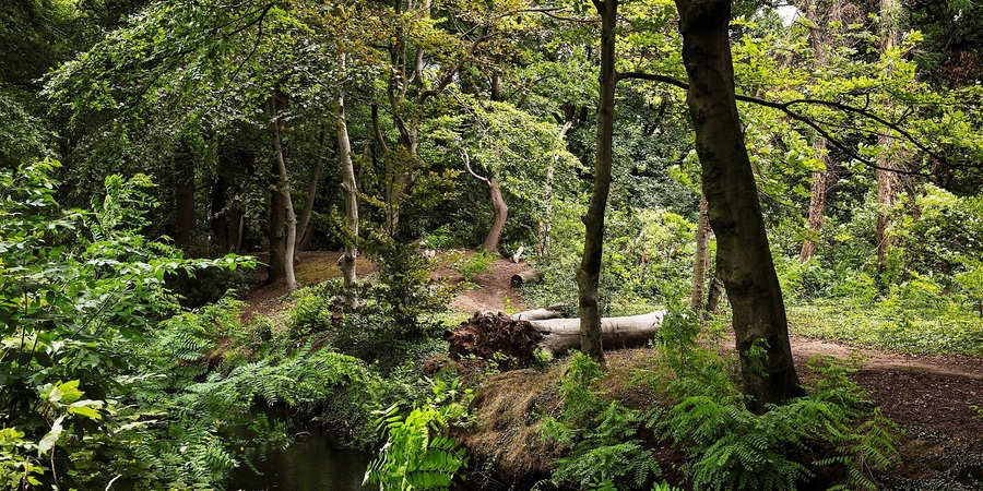 Bouckenborghpark Bouckenborghpark