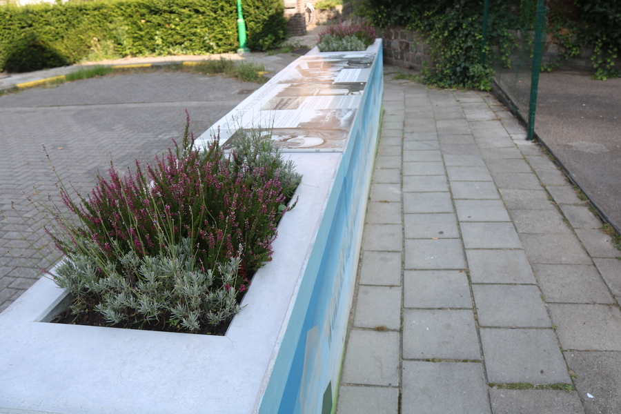 bloembak met plantjes