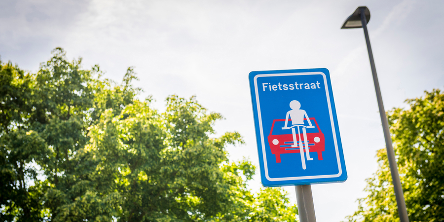 Foto van een verkeersbord F111, met een lantaarnpaal en bomen op de achtergrond.