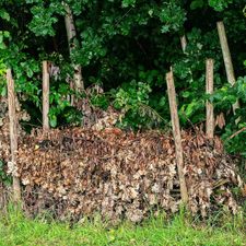 Takkenril van dood hout