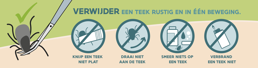 Hoe verwijder ik een teek? Hoe verwijder ik een teek?