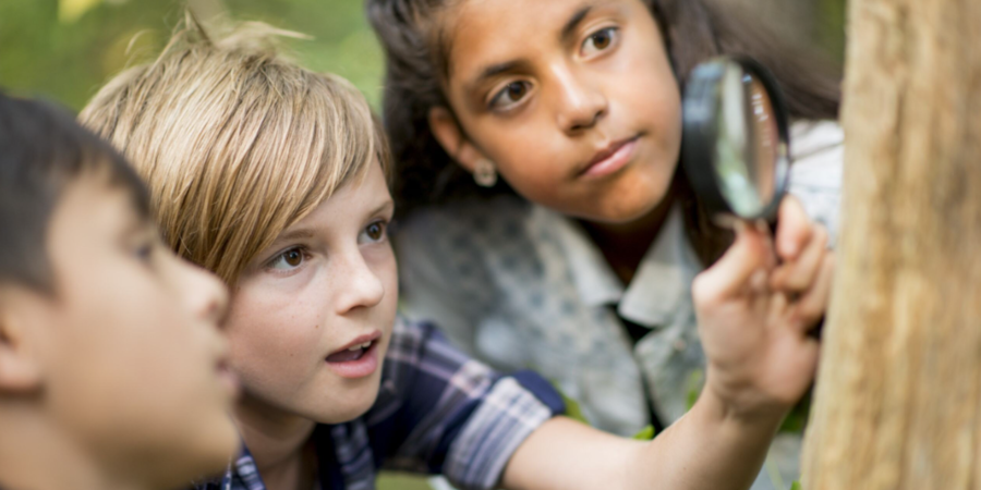 kinderen verkennen de natuur met een vergrootglas kinderen verkennen de natuur met een vergrootglas
