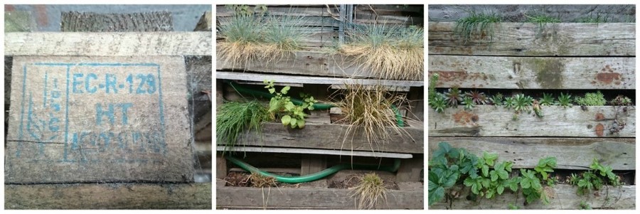 Draagt een pallet de code HT, dan is ze geschikt om eetbare planten in te telen. Draagt een pallet de code HT, dan is ze geschikt om eetbare planten in te telen.