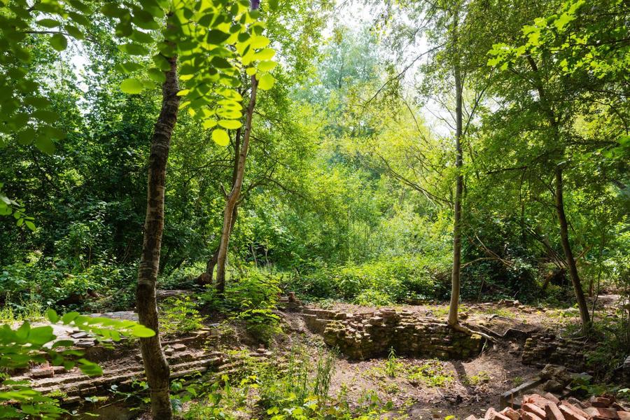 Prachtig zicht op een zeer groene omgeving