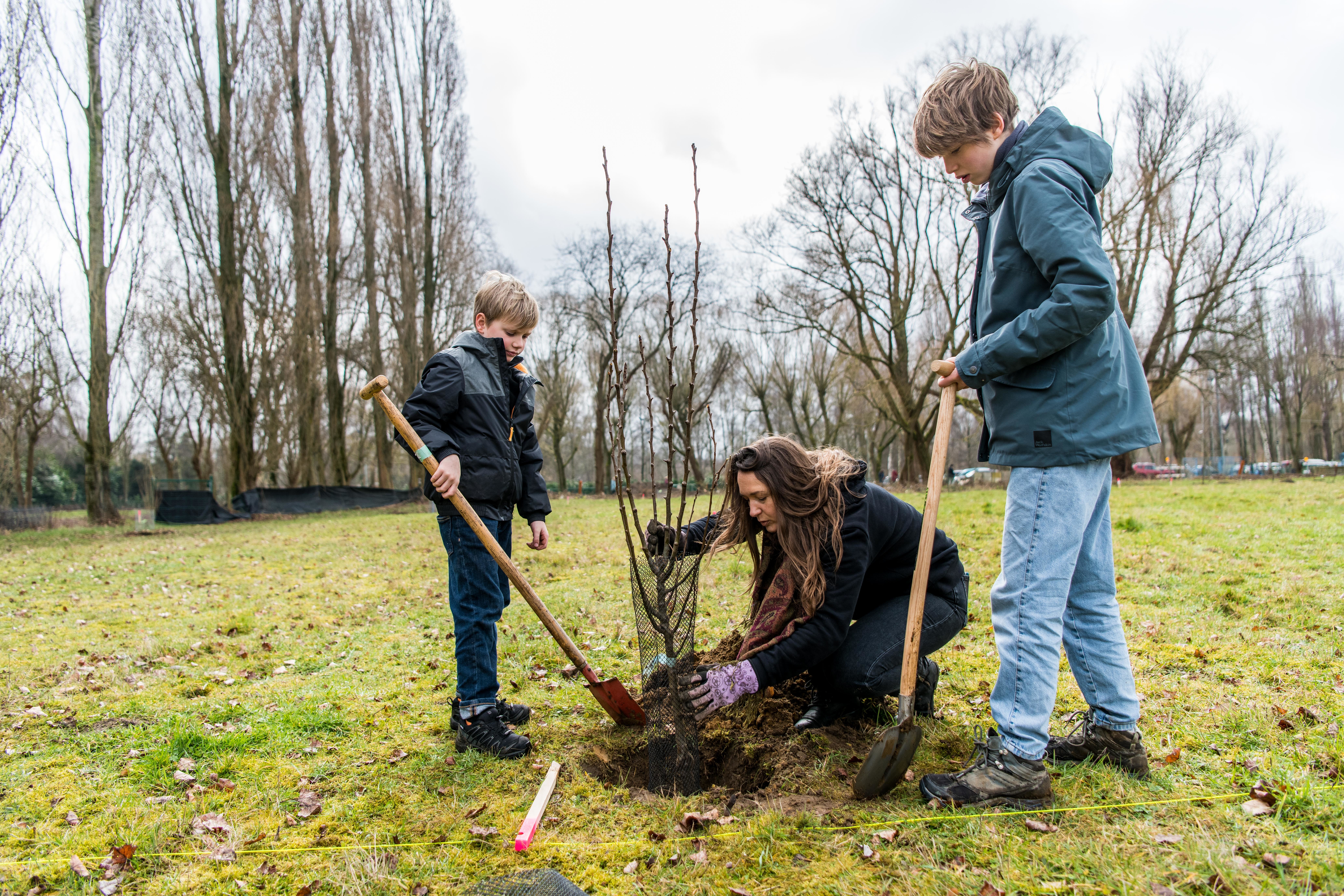 Een vrouw en twee kinderen planten een boom.
