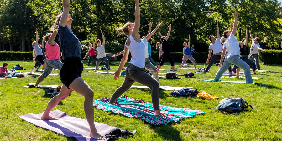 Verschillende mensen staan op een handdoek in een park en strekken hun armen in de lucht. Verschillende mensen staan op een handdoek in een park en strekken hun armen in de lucht.