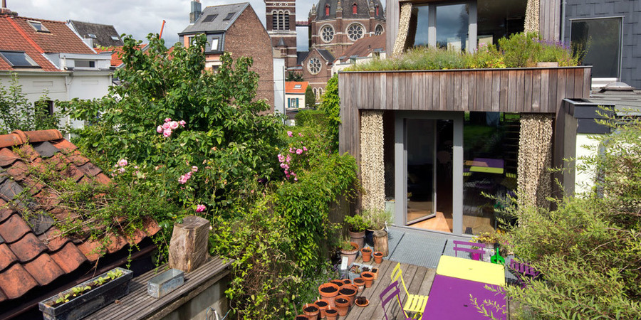 Terras met planten en groendak boven uitbouw Terras met planten en groendak boven uitbouw