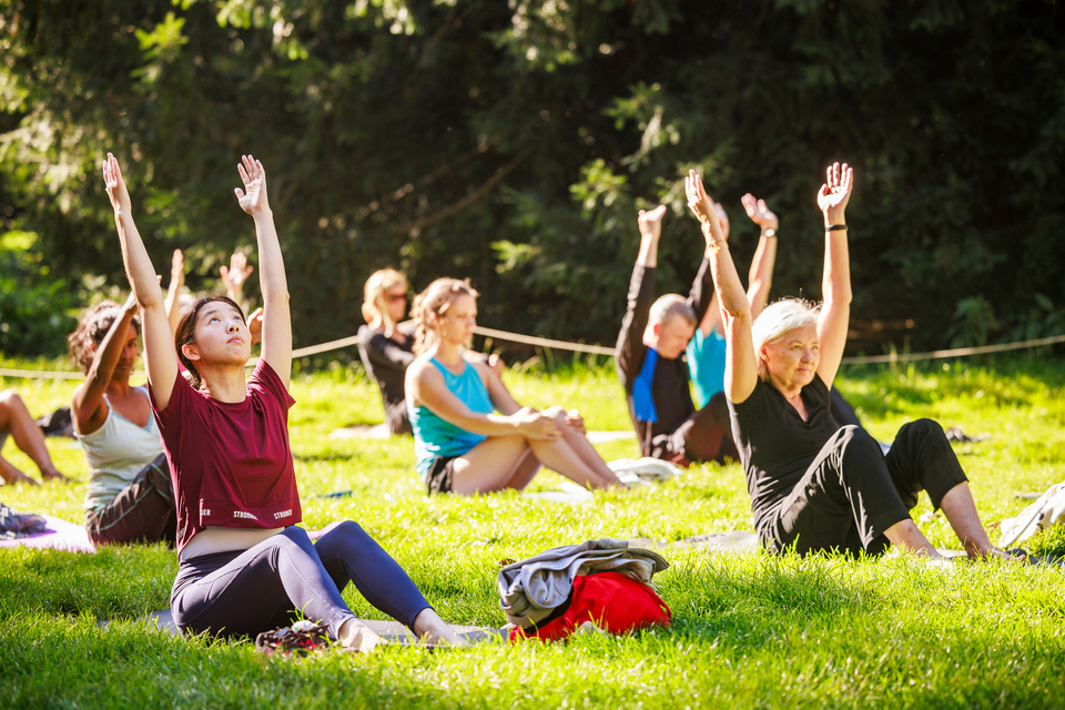 groepssessie yoga op een grasveld in het park