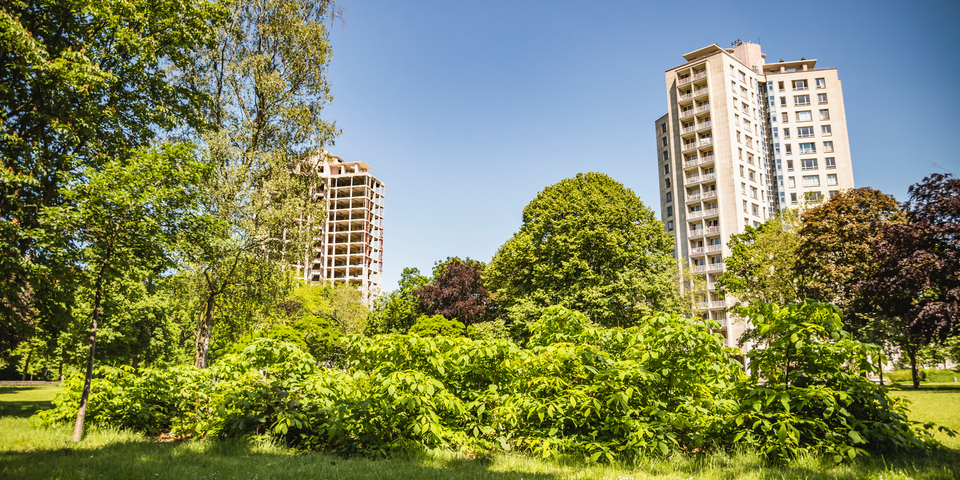 bomen-kielpark-groen-district-antwerpen-overzicht-antwerpen-be