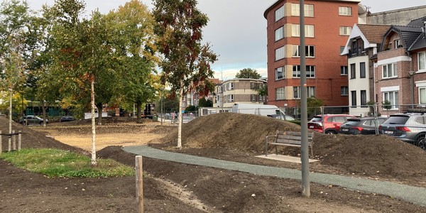 Heraanleg van het pleintje aan de Groenenborgerlaan - Cederlaan