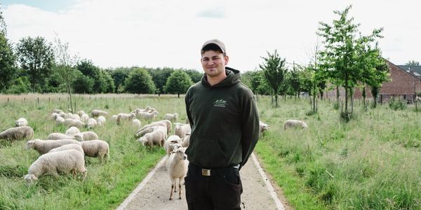 Antwerpse Stadsherder bij zijn kudde schapen in het groene bufferbekken van Borsbeek