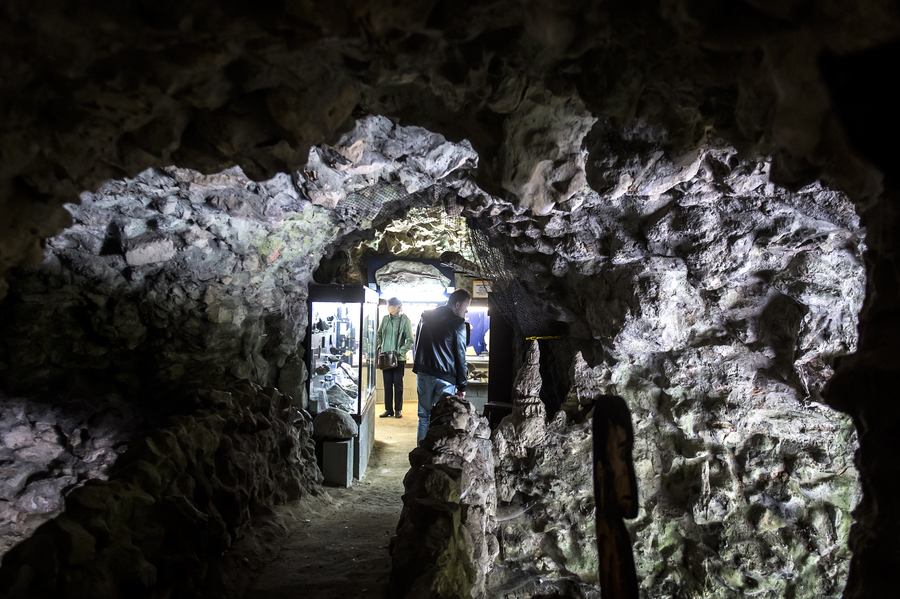 Natuurhistorisch Museum Boekenberg