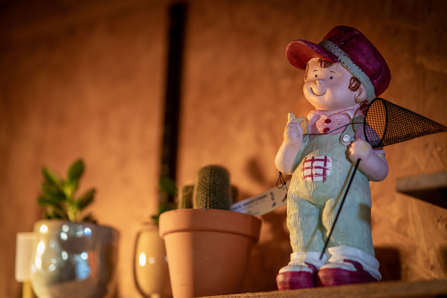 Beeldje en cactussen in een bloempotje