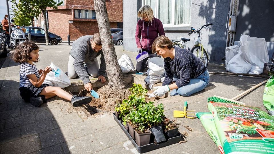 Bewoners onderhouden boomvak